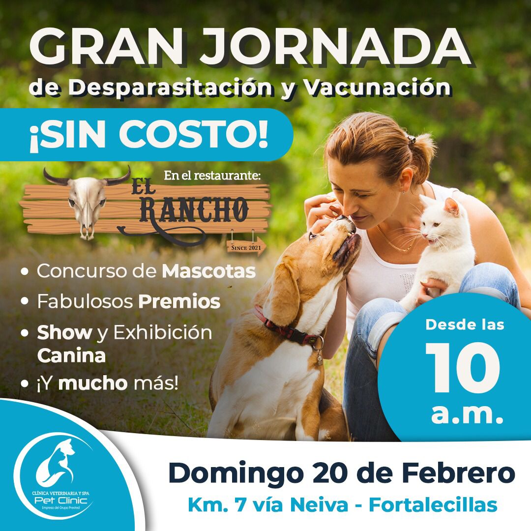 Este domingo, proteja a su mascota.